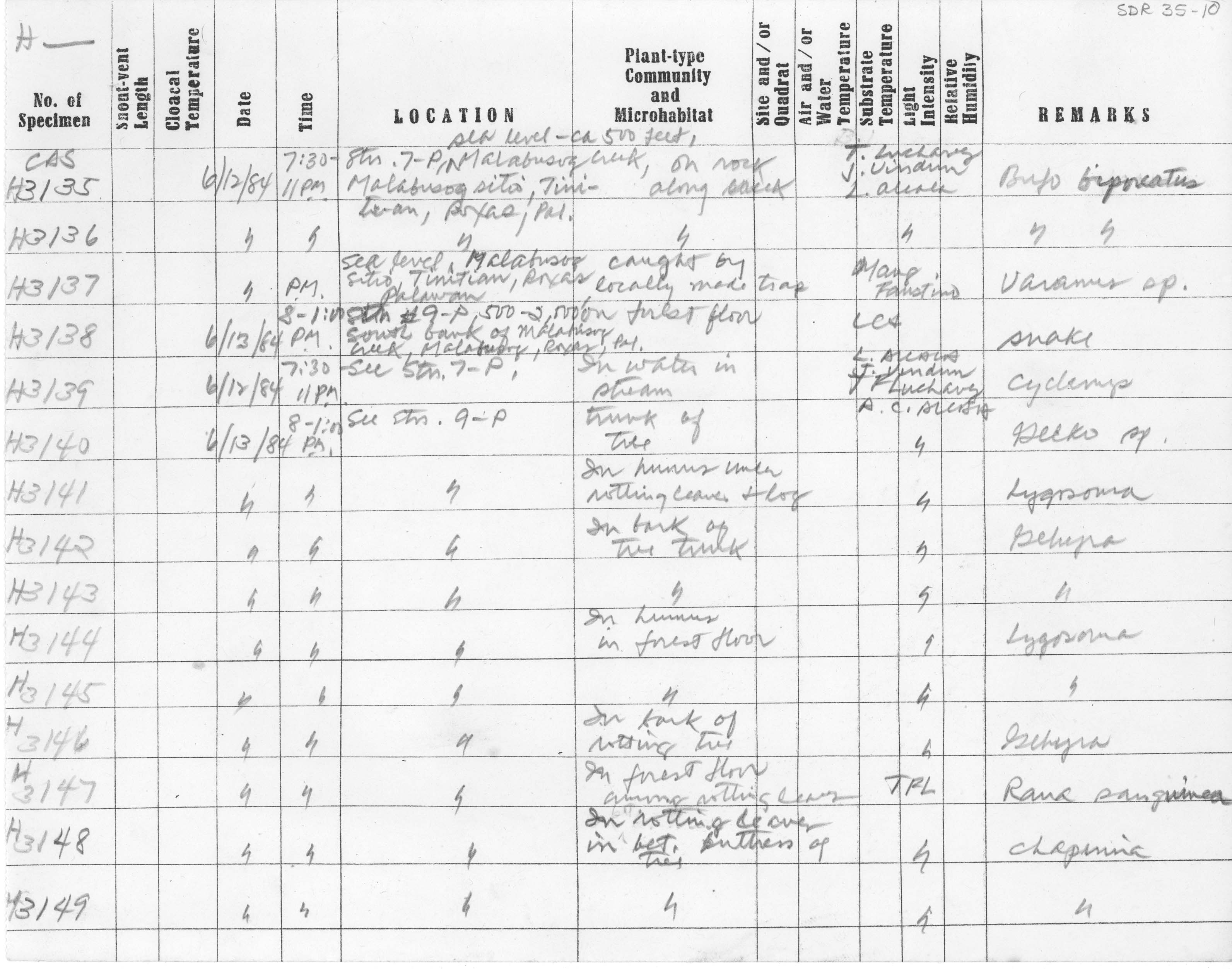 Cyclemys dentata image
