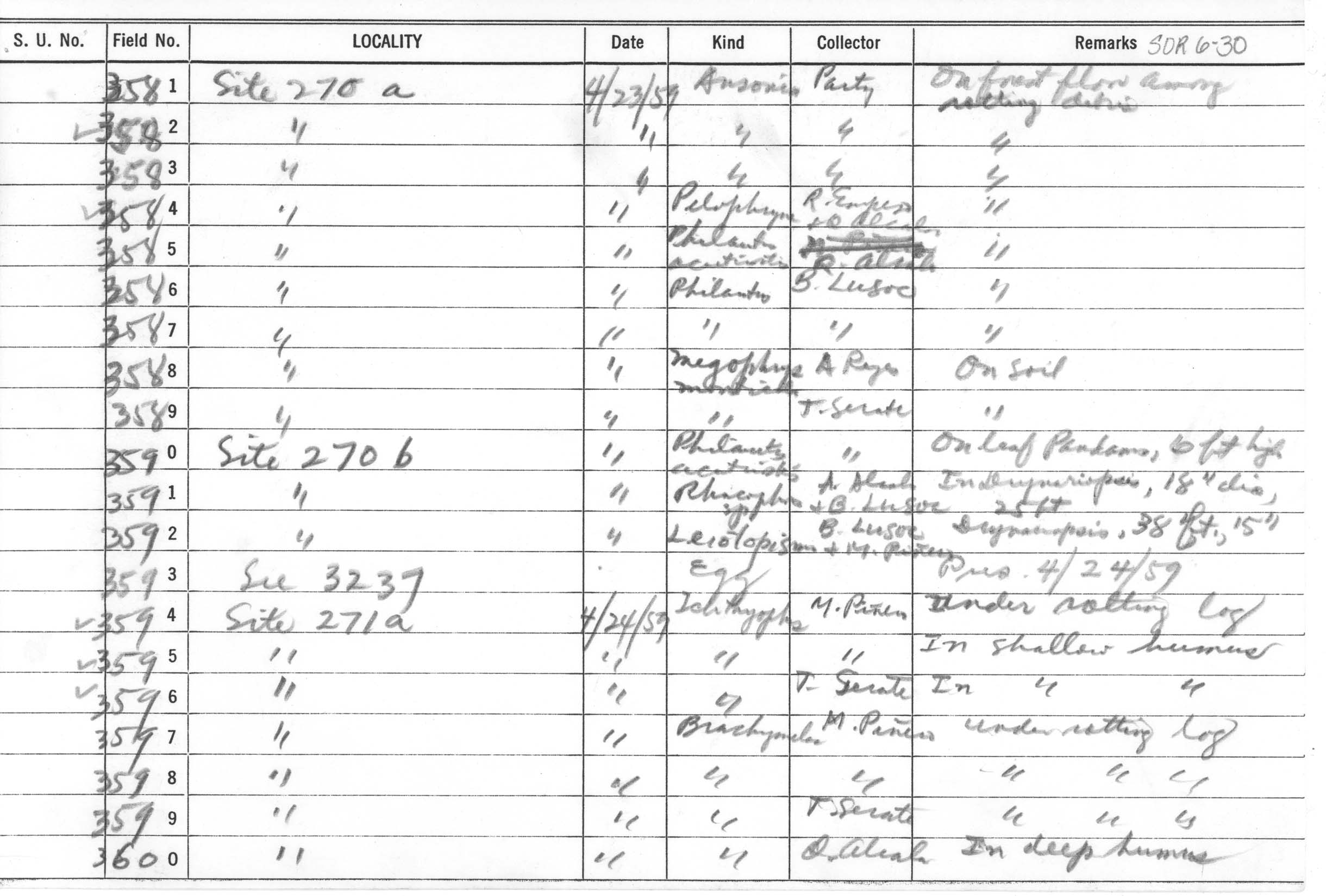 Ichthyophis mindanaoensis image