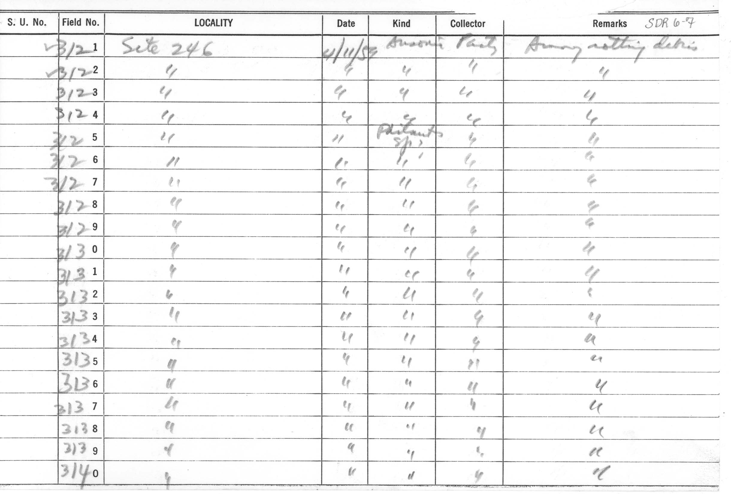 Ansonia muelleri image
