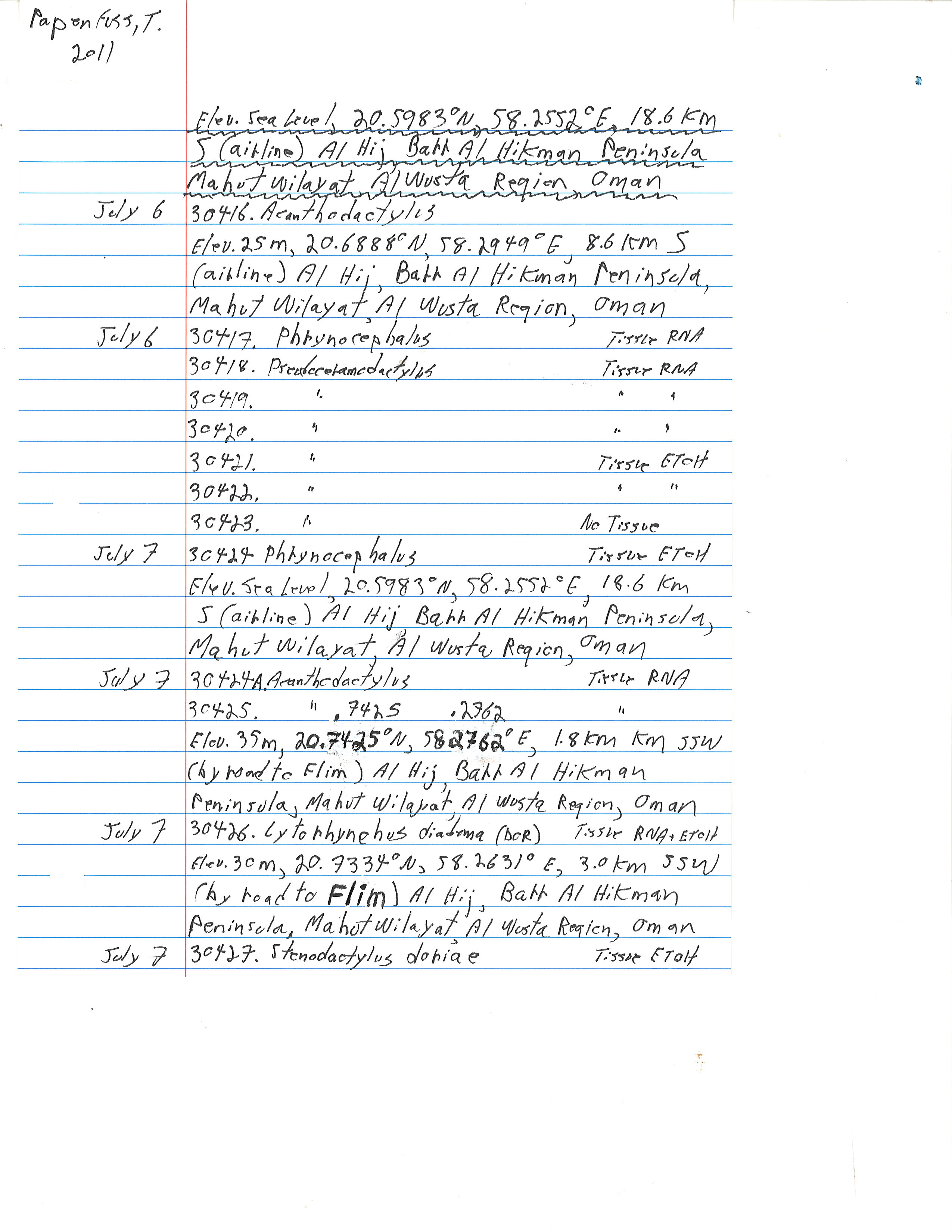 Phrynocephalus image