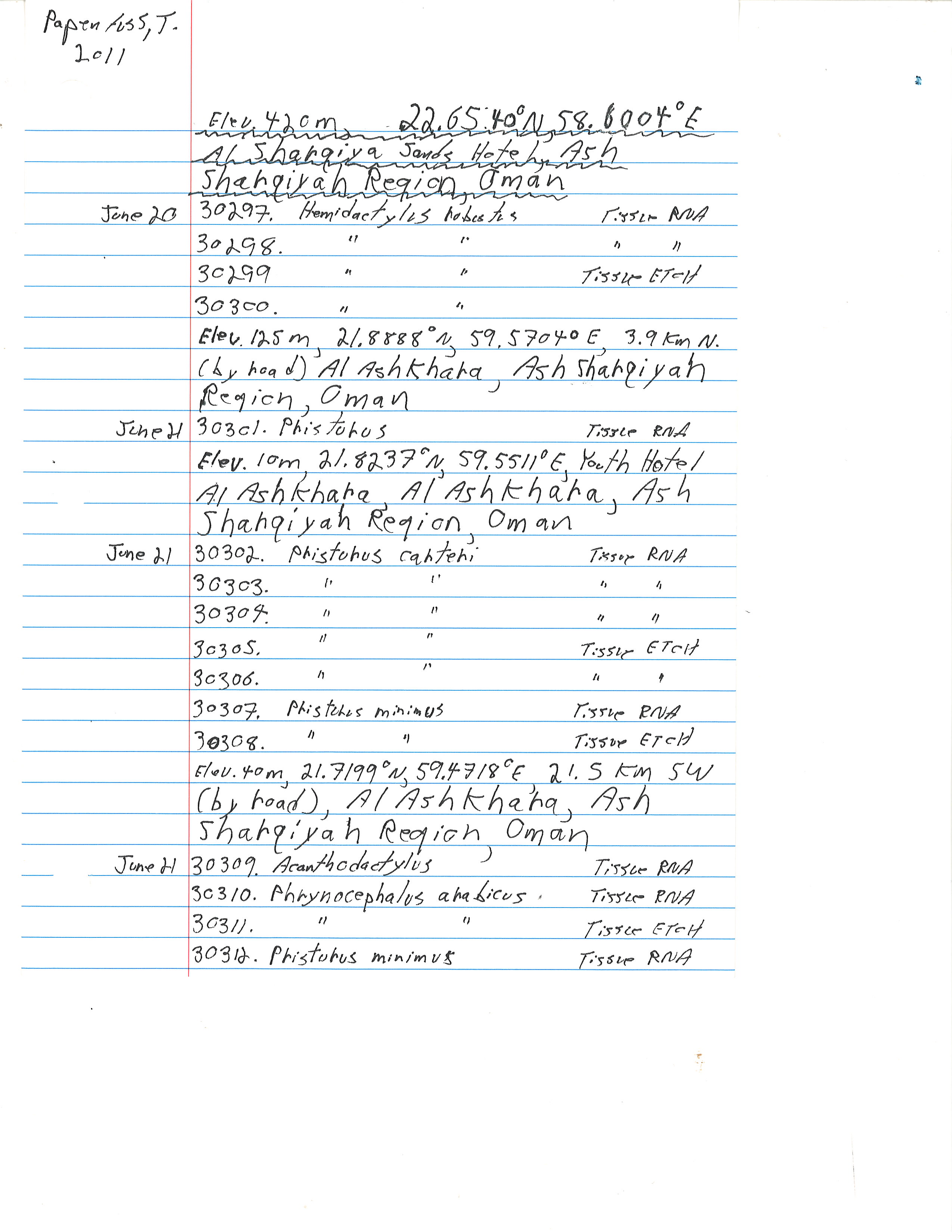 Pristurus carteri image
