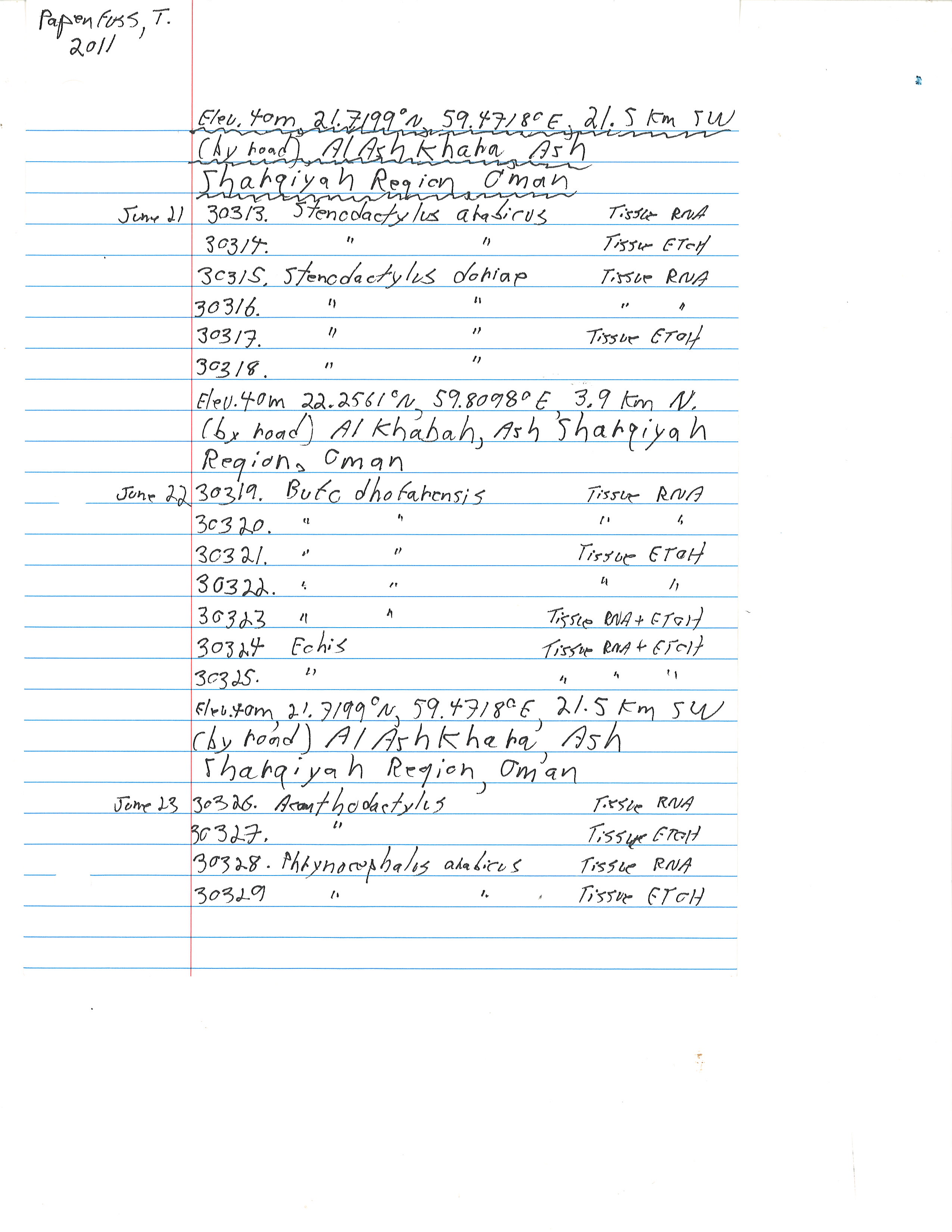 Acanthodactylus image