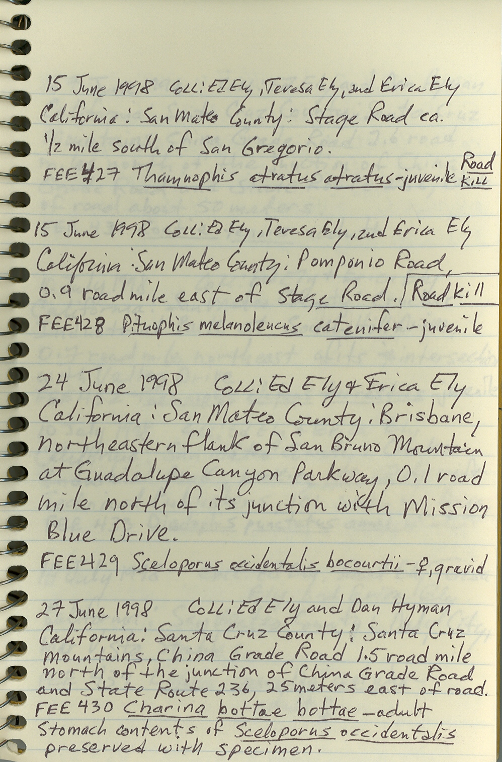 Charina bottae image