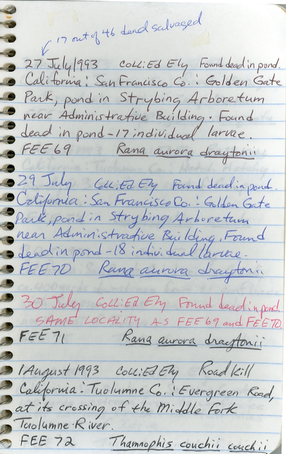 Thamnophis couchii image