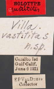 Image of Villa vastititas