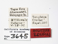 Philatis servus image