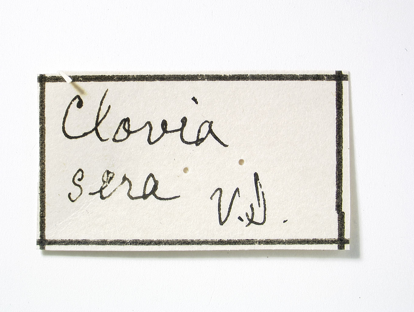 Clovia sera image
