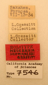 Neoserixia schwarzeri image