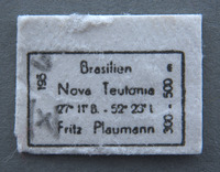 Anacroneuria badilinea image