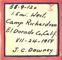 Omalus downeyi image