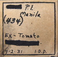 Scirtothrips dobroskyi image