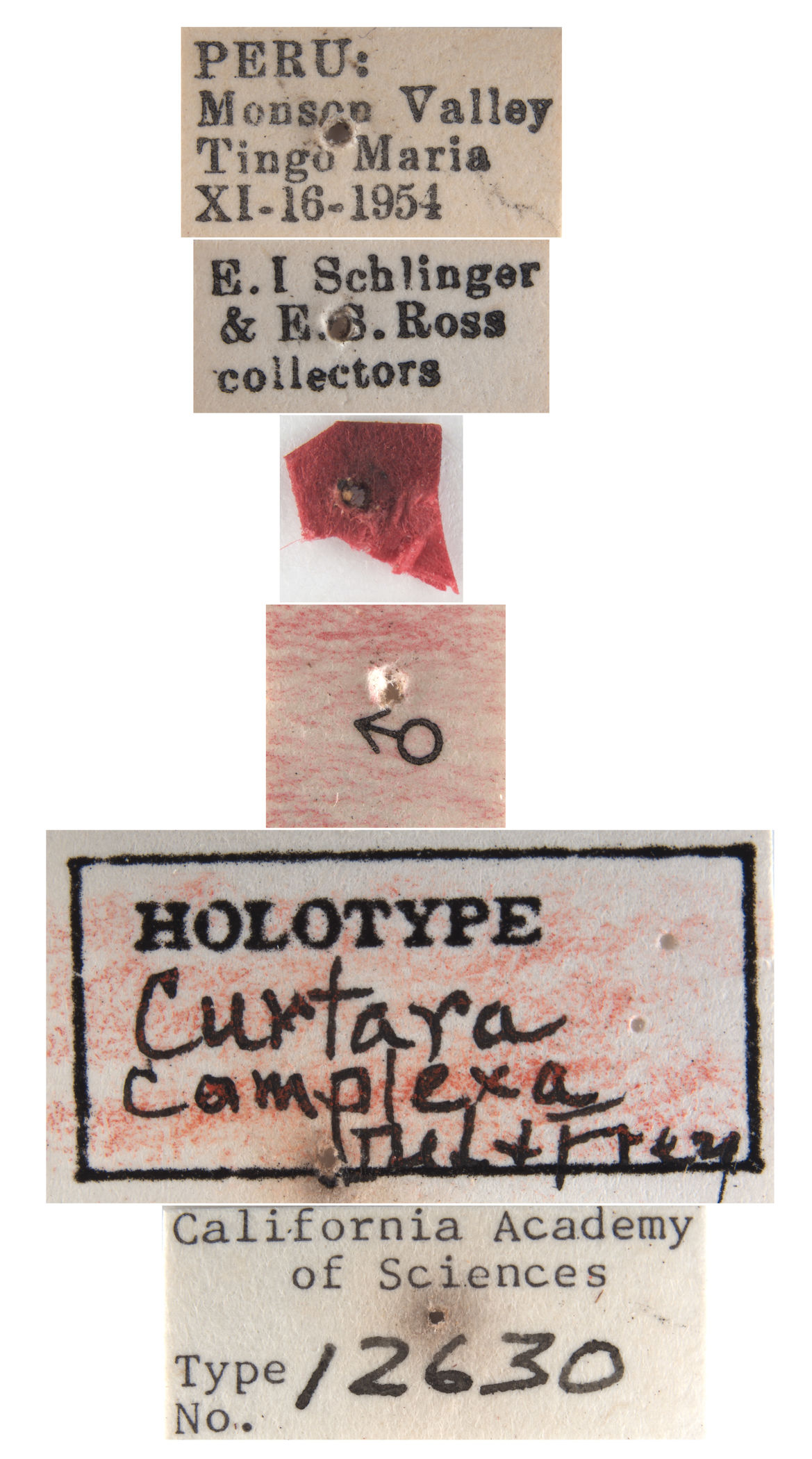 Curtara complexa image