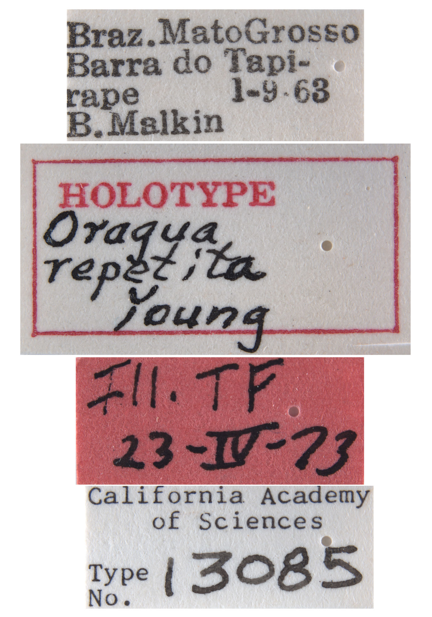 Oragua repetita image