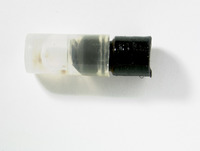 Melizoderes dentistylus image