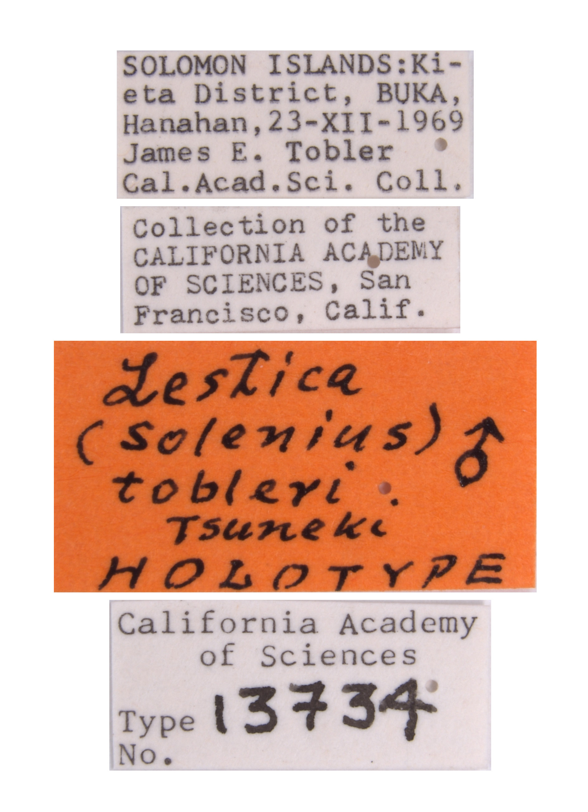 Lestica tobleri image