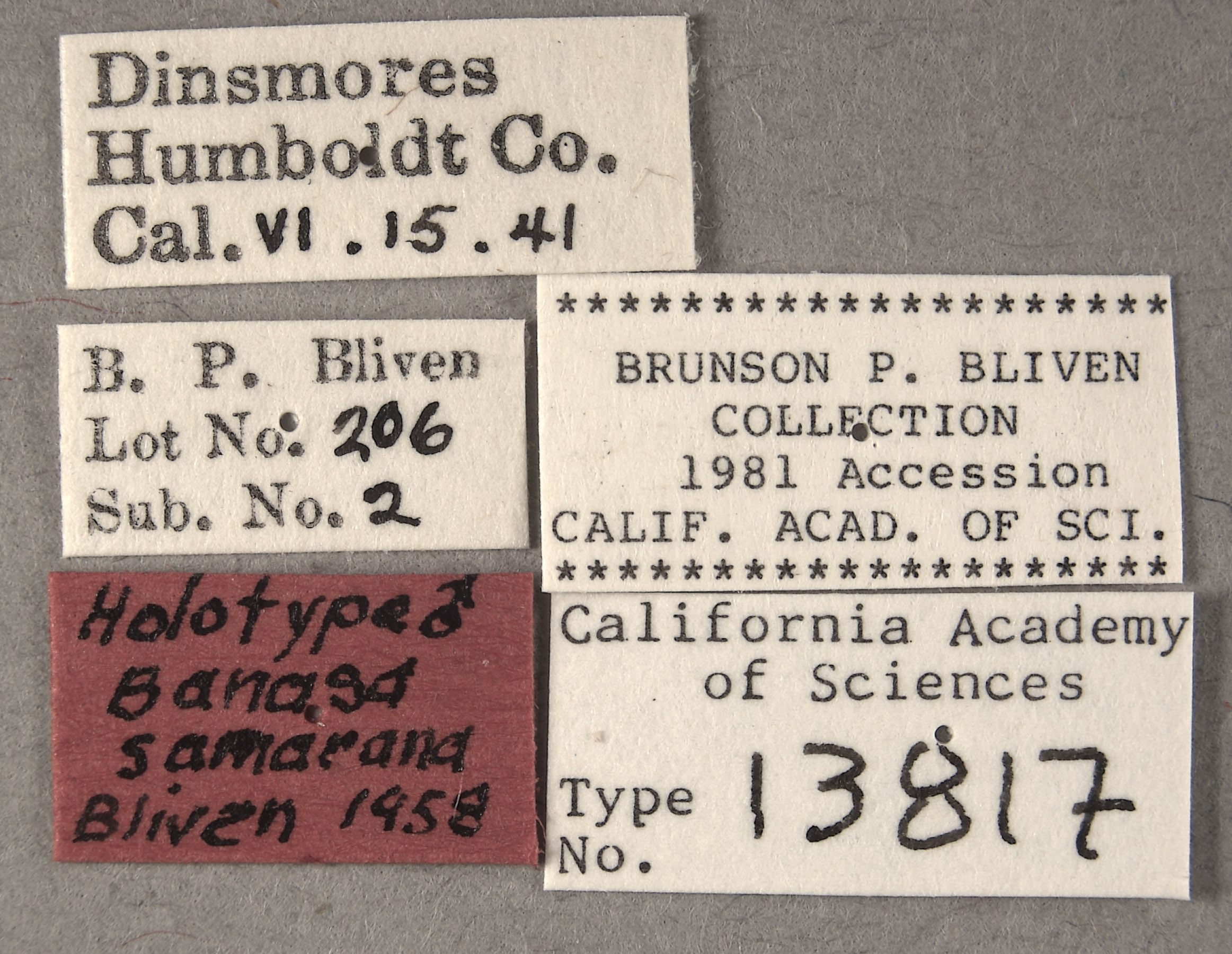 Banasa samarana image