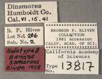 Banasa samarana image