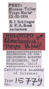 Elmohardyia merga image